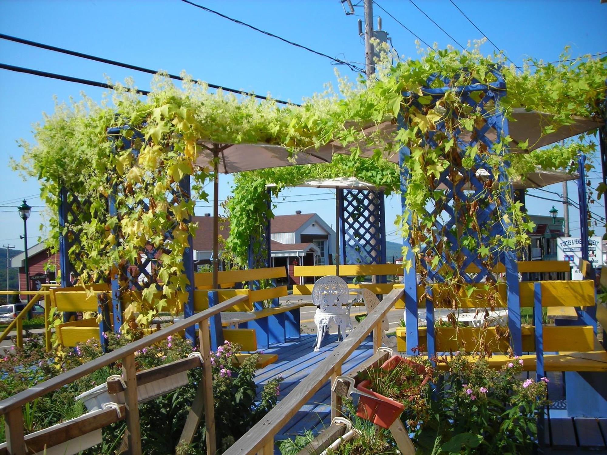 Gite Des Hauteurs Et Cafe De La Place Saint Zenon Dış mekan fotoğraf
